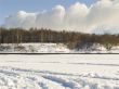 Winter landscape