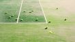 Tennis moments......