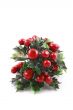 Christmas evergreen
