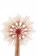 Christmas decoration