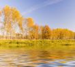 autumn landscape