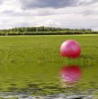 Green lawn and a ball