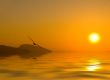 Dawn above the sea