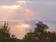  bright dawn
