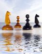 Combination from chessmen