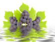 Some clusters of a grapes