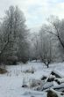 Winter scene