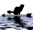  cat Silhouette