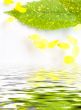 Composition in water
