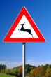traffic sign deer pass