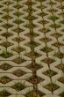 paving stone