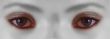 Auge | eye