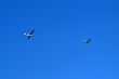 sailplane