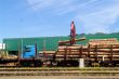 Holzkran | wood crane