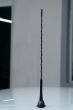 car antenna
