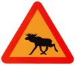 attention elk