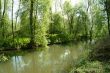 a small creek