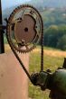 gearwheel