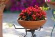  flowerpot