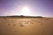 thursty at sandbeach