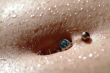 female belly piercing