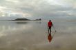 searching at the ebb