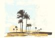  ocean coast