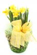spring decoration