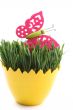 Easter