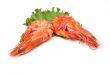 Shrimp pair