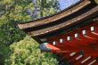 Japanese temple roof