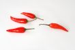 Red hot chili