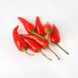 Red hot chili