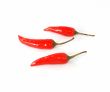 Red hot chili