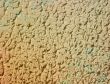 Great for textures and backgrounds