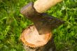 Axe thrust in a log