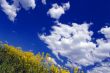 dramatic countryside