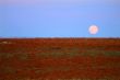 moon rising