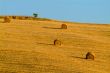 straw bale