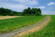 field cart road