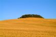 tuscany