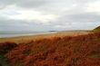 red farn at bay