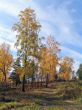 Siberia autumn