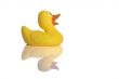  Rubber Duck