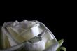 white rose