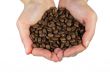 Hands with coffee beans
