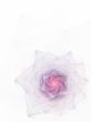 Spiral Petals against White