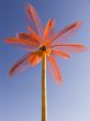 Decorative plastic palm tree