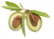 almonds
