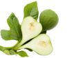 Branch fig